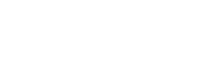 Multilize